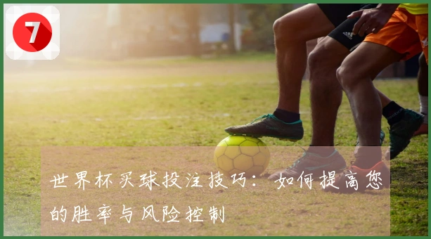 世界杯买球投注技巧：如何提高您的胜率与风险控制