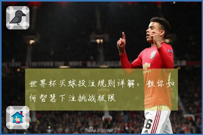 世界杯买球投注规则详解，教你如何智慧下注挑战极限