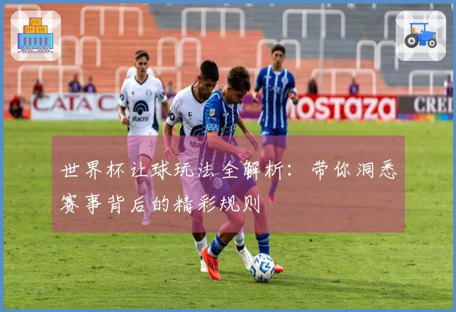 世界杯让球玩法全解析：带你洞悉赛事背后的精彩规则