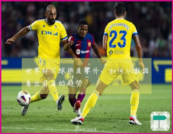 世界杯买球热度攀升，如何从数据看出背后的趋势
