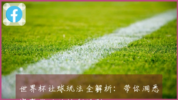世界杯让球玩法全解析：带你洞悉赛事背后的精彩规则