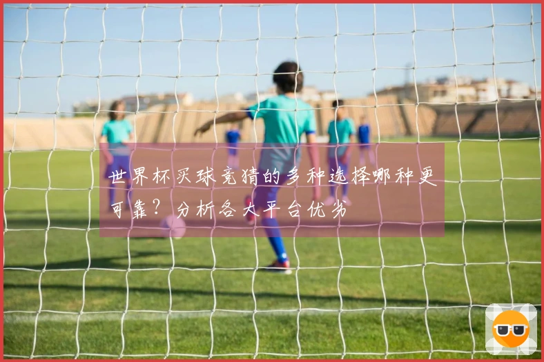 世界杯买球竞猜的多种选择哪种更可靠？分析各大平台优劣