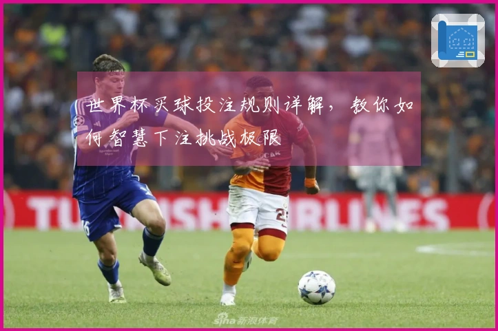 世界杯买球投注规则详解，教你如何智慧下注挑战极限