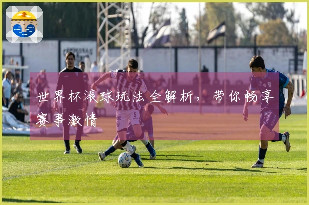世界杯滚球玩法全解析，带你畅享赛事激情