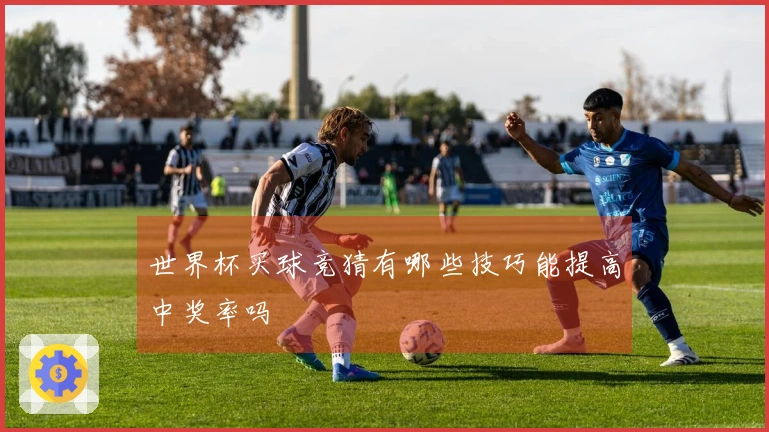 世界杯买球竞猜有哪些技巧能提高中奖率吗