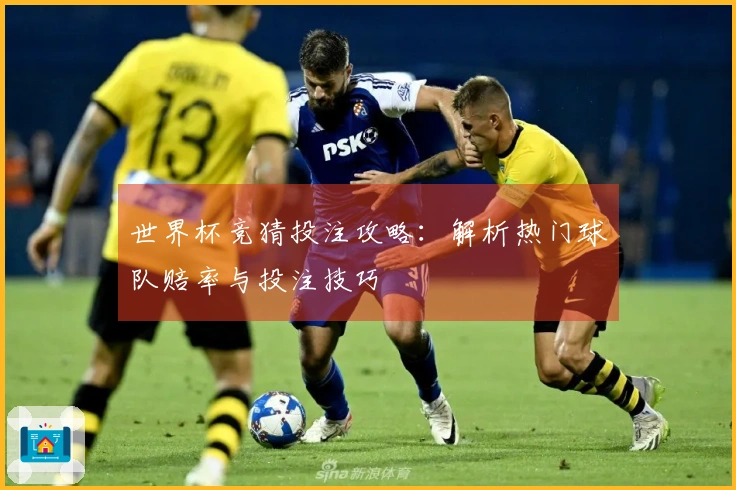 世界杯竞猜投注攻略：解析热门球队赔率与投注技巧