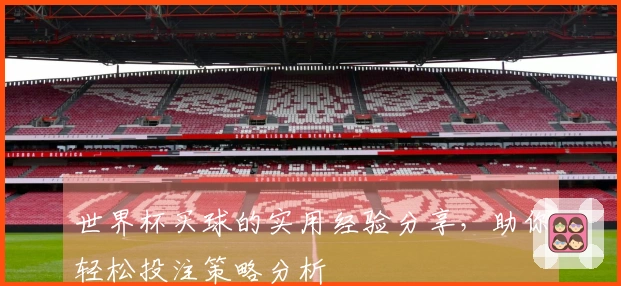 世界杯买球的实用经验分享，助你轻松投注策略分析