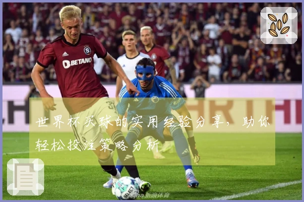 世界杯买球的实用经验分享，助你轻松投注策略分析
